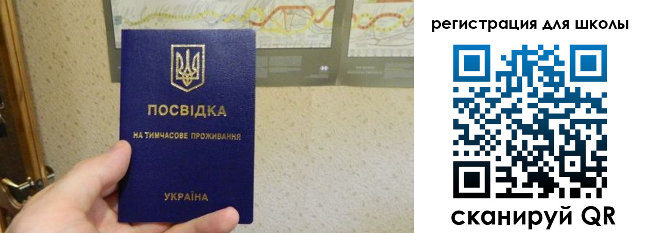 временная прописка в Видном